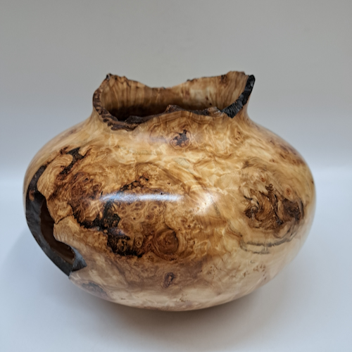 Click to view detail for JW-257 Colorado Aspen Burl Hollow Woodturning $400